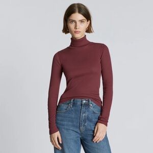Everlane Luxe Micro-Ribbed Turtleneck